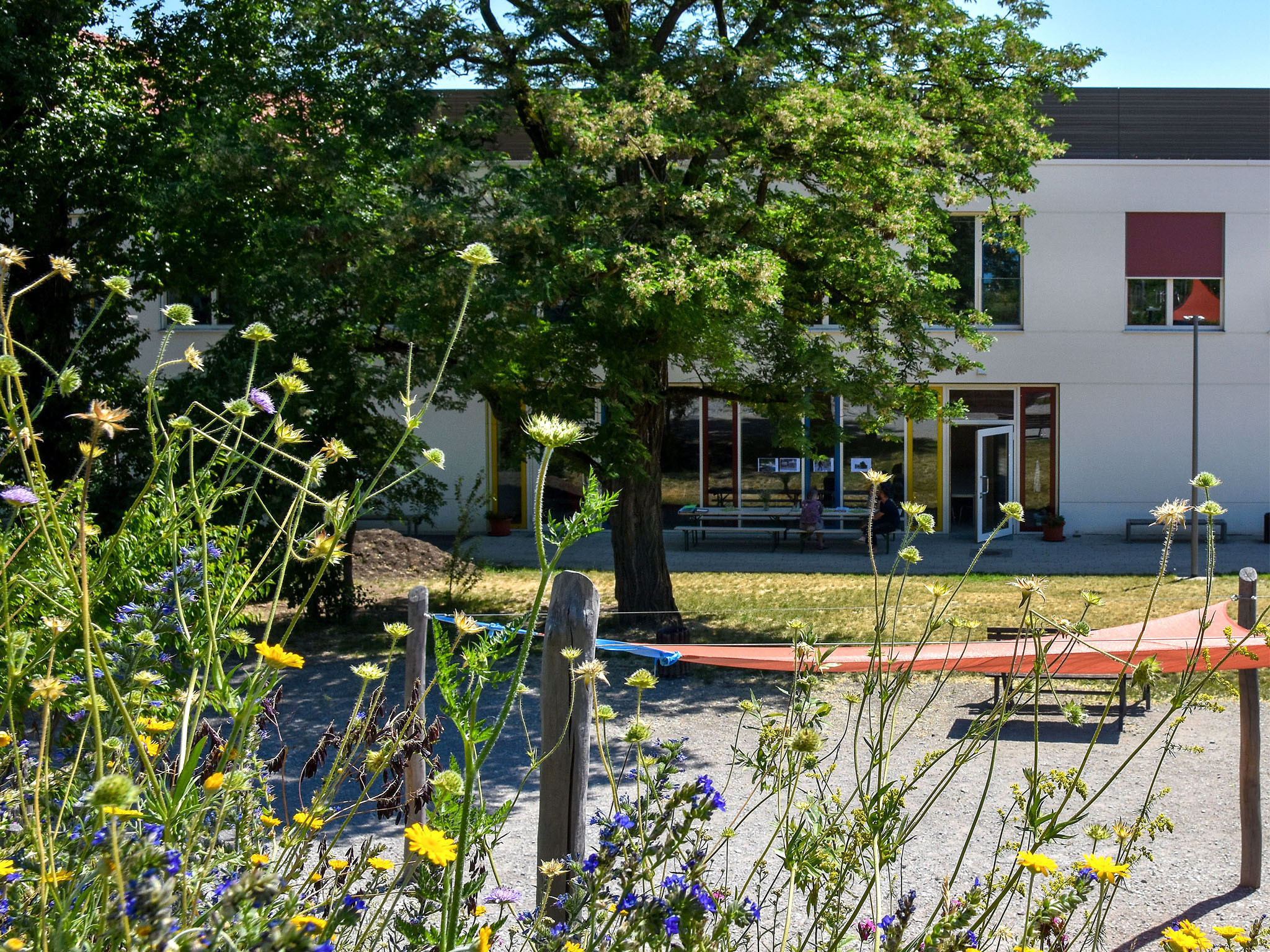 30. Grundschule Dresden © Planung: Barbara Kroll, Foto: Nicole Herzog