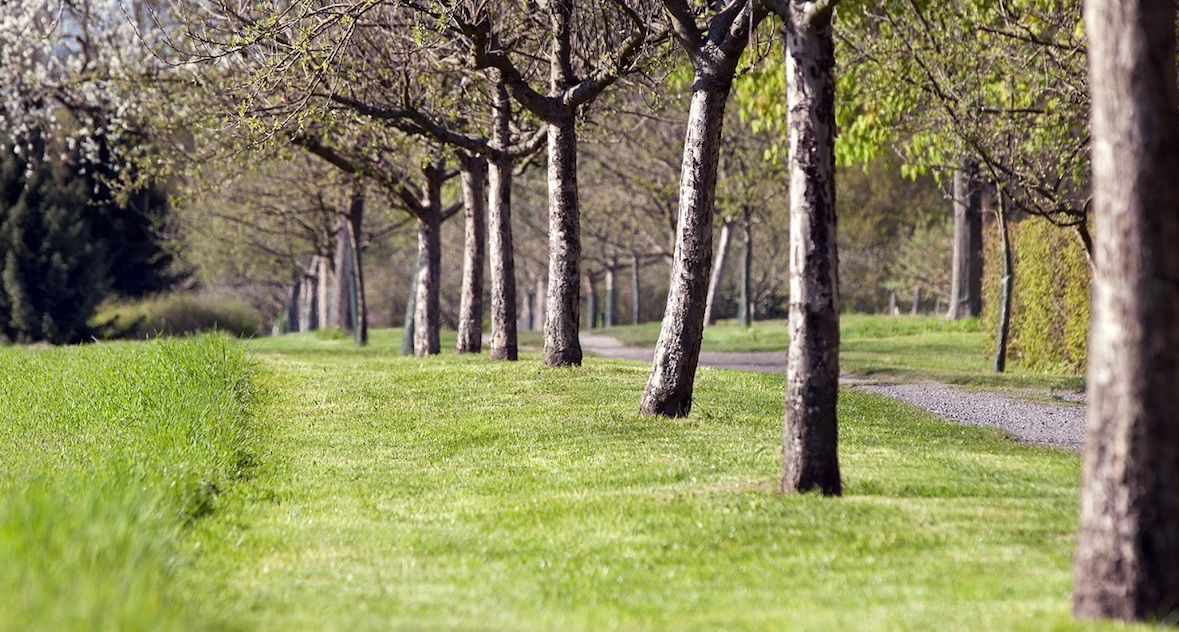 Botanischer Volkspark Blankenfelde, Planung: FUGMANN JANOTTA PARTNER, Foto: P. Winkelmeier