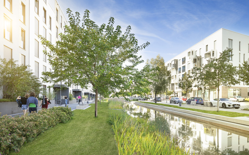 Eine Straße in einem Neubaugebiet mit mehreschossigen Häusern. In der Mitte ein großer Grünstreifen mit Wasser, Bäumen, Sitzgelegenheiten und Stauraum für Regenwasser.