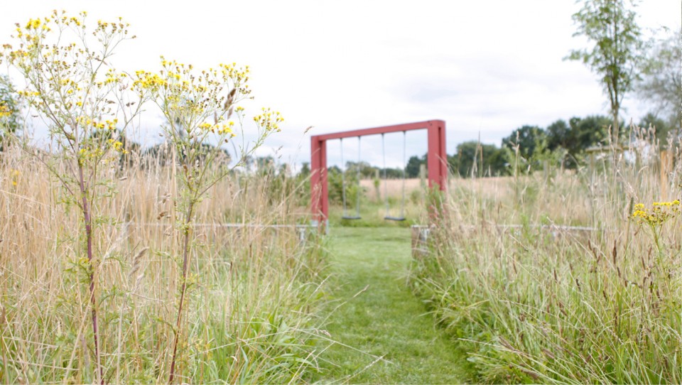 Große schaukel in einer gemähten Wiese in Mecklenburg-Vorpommern