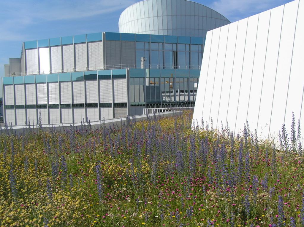 BMW AG. Forschungs- und Innovationszentrum FIZ in München, Dachbegrünung. Planung / Foto: Heiner Luz