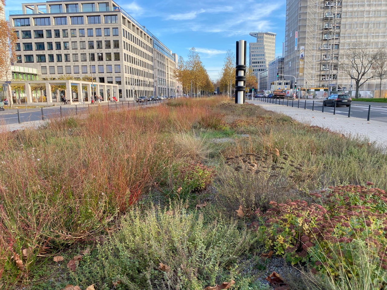 Beispiel einer eingewachsenen Staudenfläche mit Schottermulch. Foto: Franz Damm