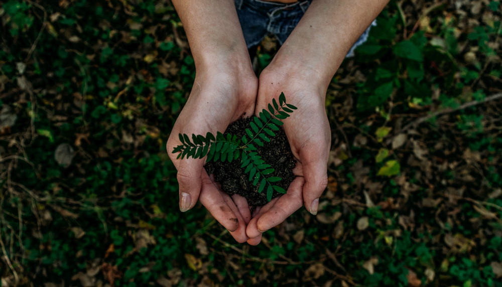 © Noah Buscher / Unsplash