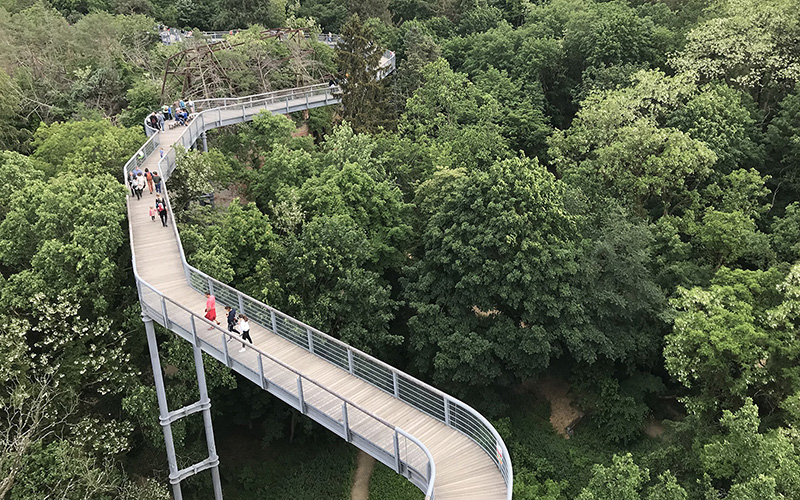 Fotocredit (c) Andreas Weber, Baumwipfelpfad Beelitz-Heilstätten