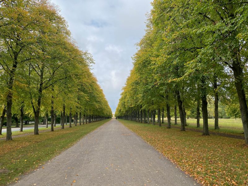 Berthine Knaut - Herrenhäuser Allee
