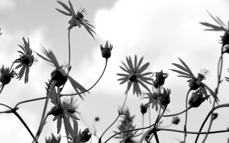 © Kerstin König