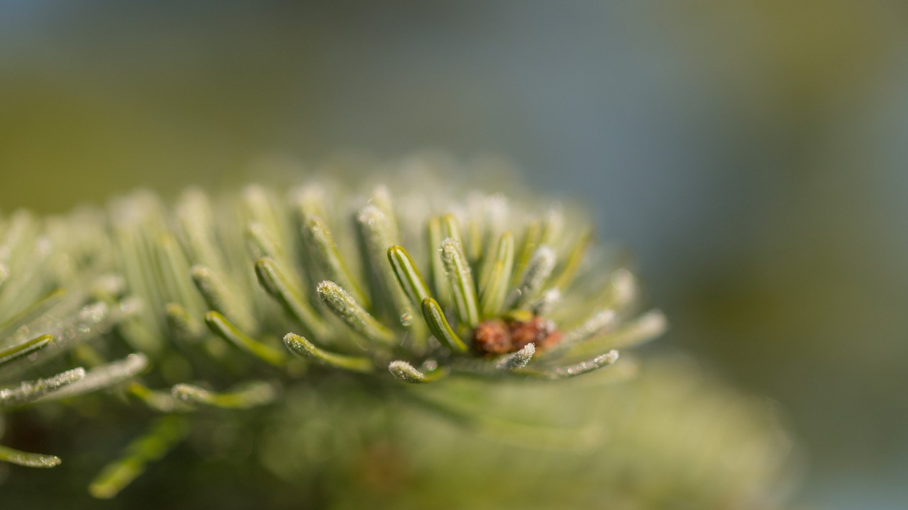 Foto: André Radestock